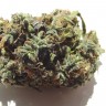 Семена марихуаны  White Blueberry Pie feminised Ganja Seeds