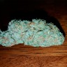 Семена каннабиса  Auto Hell's Angel OG feminised Ganja Seeds