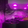 Гроубокс в сборе Джин 800х800х1600 + Гагарин 1 в магазине