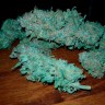 Auto Sweet Trainwreck feminised Ganja Seeds заказать