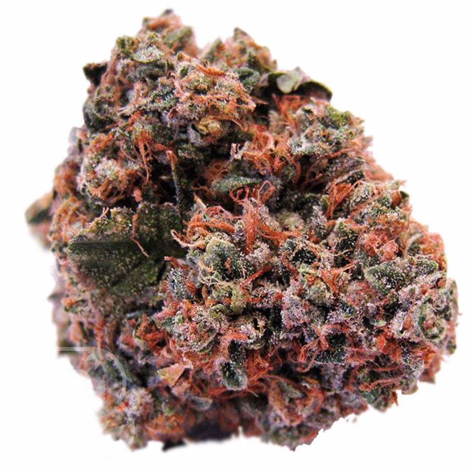 Семена ганжа  Purple OG feminised Ganja Seeds