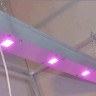 Линейный светодиодный фитосветильник LED Союз 4 недорого